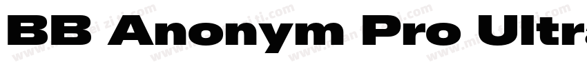 BB Anonym Pro Ultra字体转换
